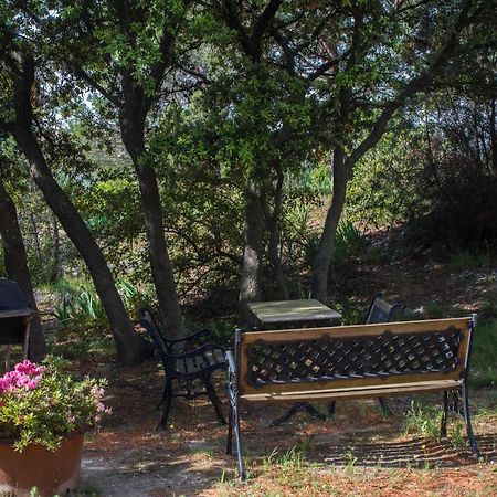 Chambre D'Hote Saint Remy Aramon エクステリア 写真