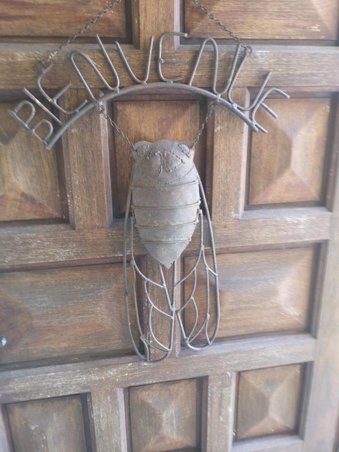 Chambre D'Hote Saint Remy Aramon エクステリア 写真